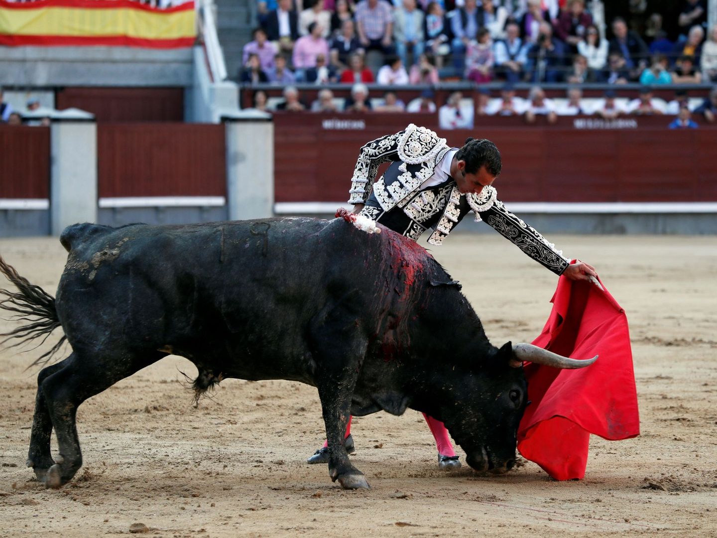 Pepe Moral, durante su primer toro en la vigésimo séptima corrida de la Feria de San Isidro. (EFE) 