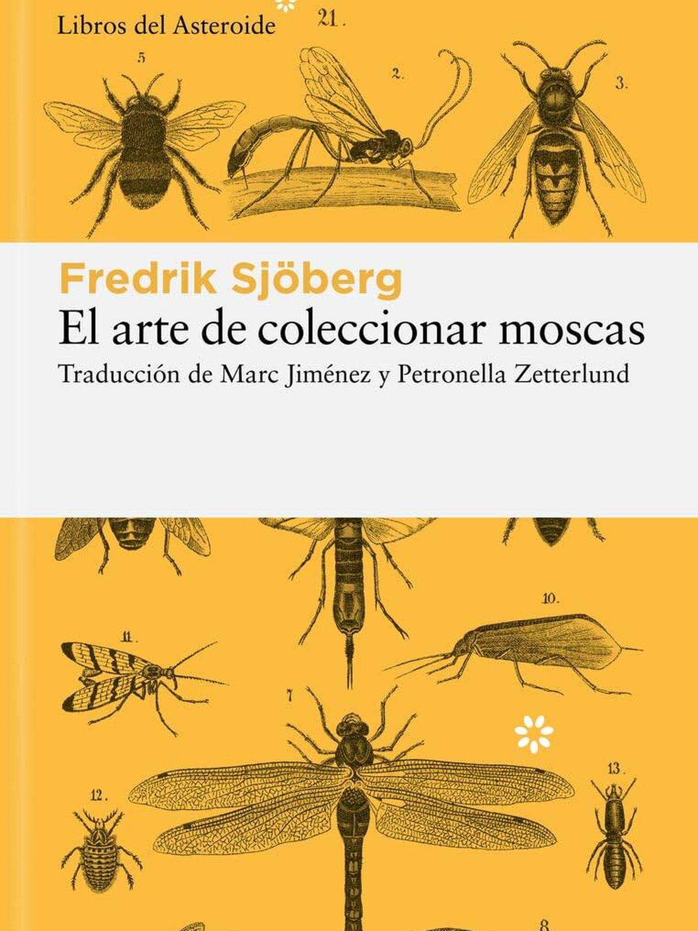 Portada de 'El arte de coleccionar insectos', del sueco Fredrik Sjöberg.