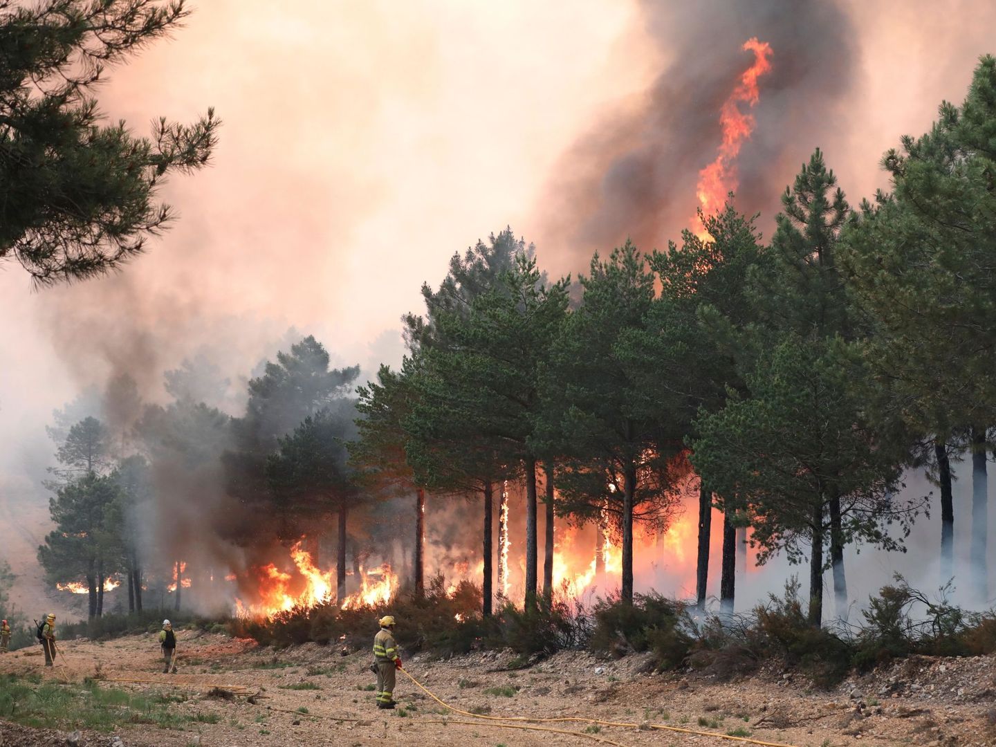 Miembros de los servicios forestales intentan sofocar el incendio. (EFE) 