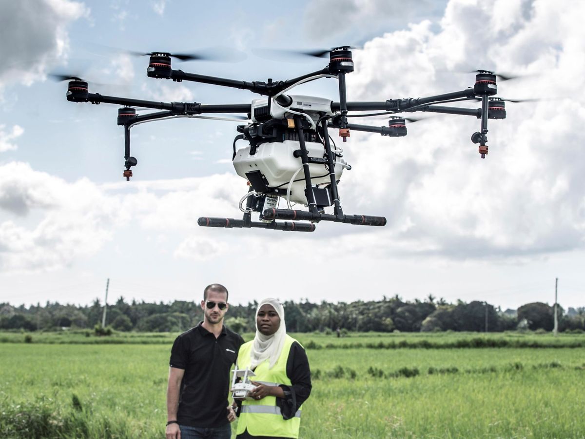 Foto: Zanzíbar, escenario de un novedoso proyecto piloto antimalaria: rociar estos campos utilizando drones de fumigación (EFE)