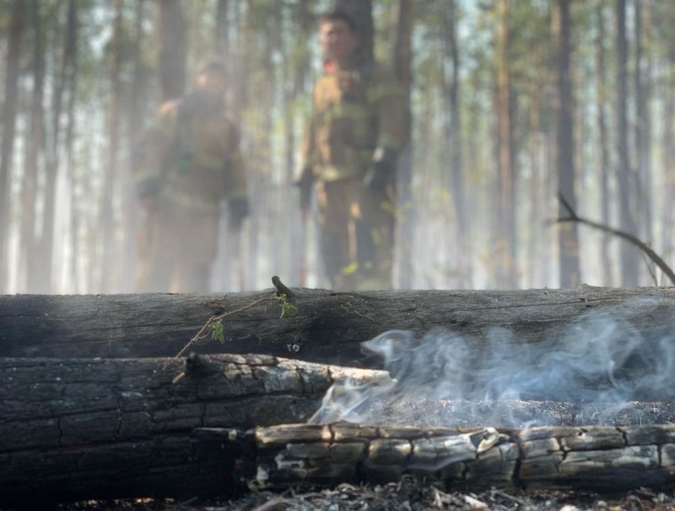 Incendio forestal en Siberia en 2020. (EFE)