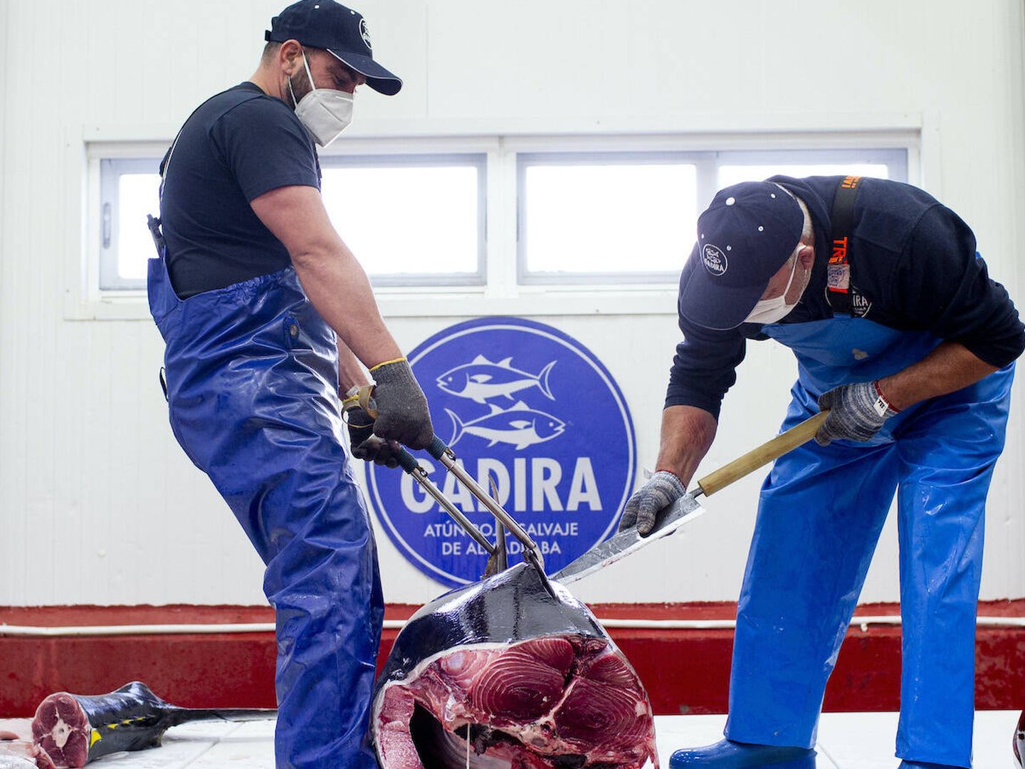 Dos trabajadores de Gadira en un ronqueo, el despiece manual del atún. (Gadira)