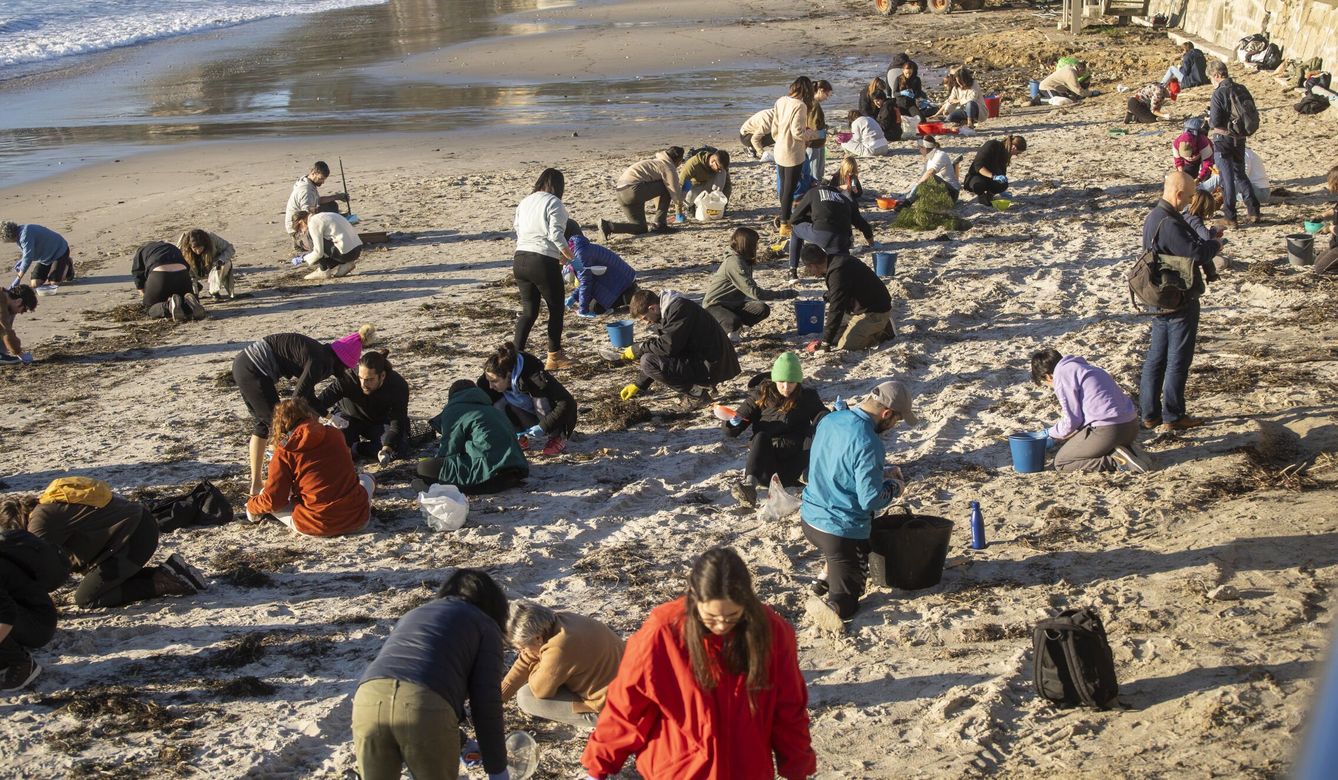 Varios voluntarios recogen 'pellets' en la playa de Panxón, el 11 de enero, en Pontevedra. (Europa Press/Javier Vázquez)