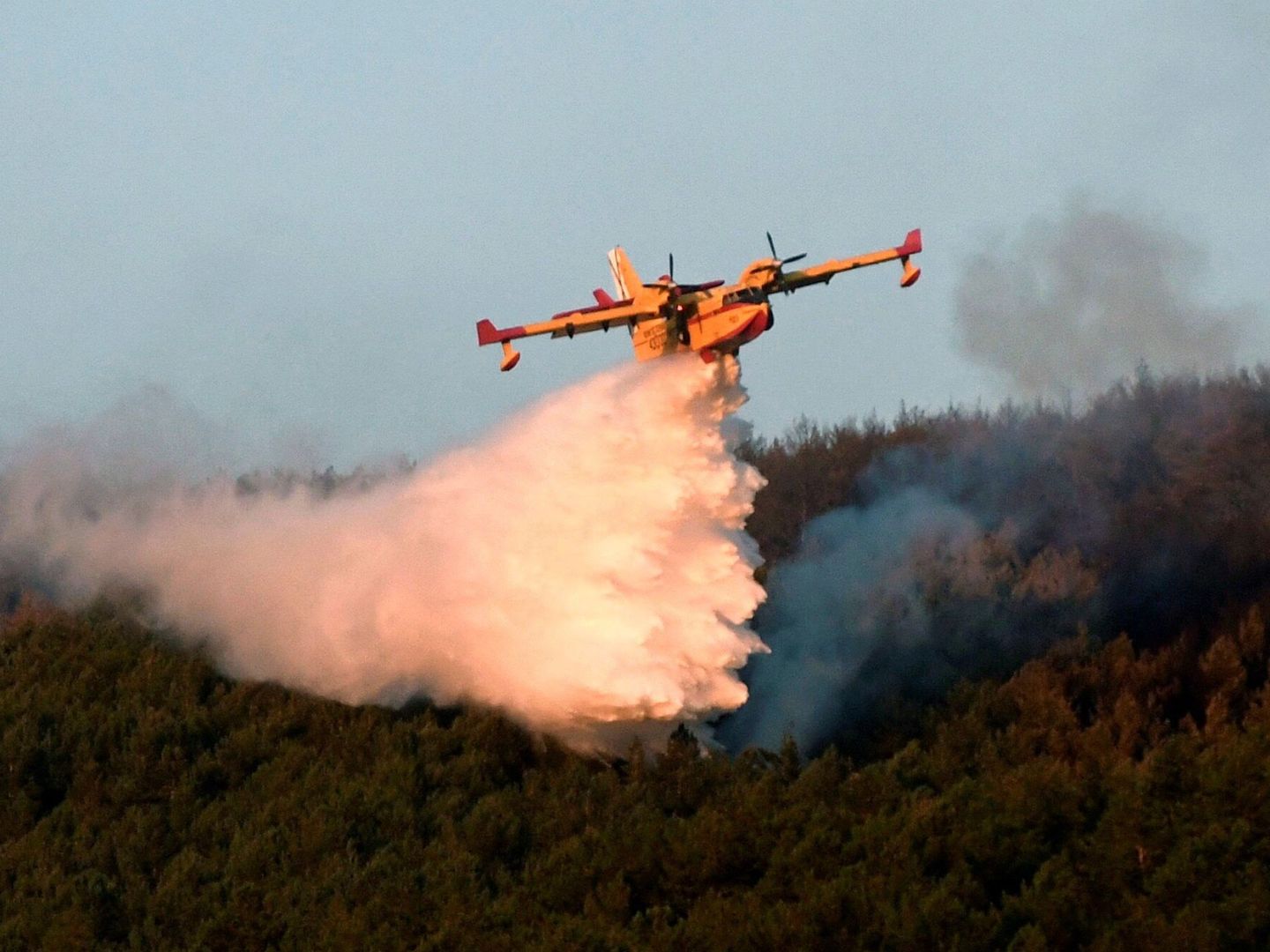 Un hidroavión actúa en la extinción del incendio en La Granja (Segovia). (EFE)