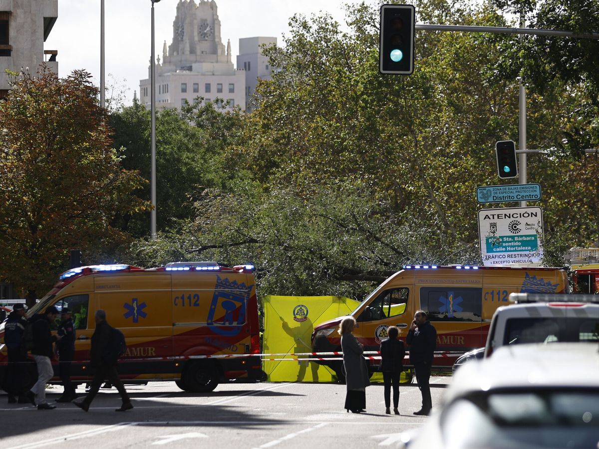 Foto: Ambulancias en Madrid en imagen de archivo. (EFE/ Rodrigo Jimenez)