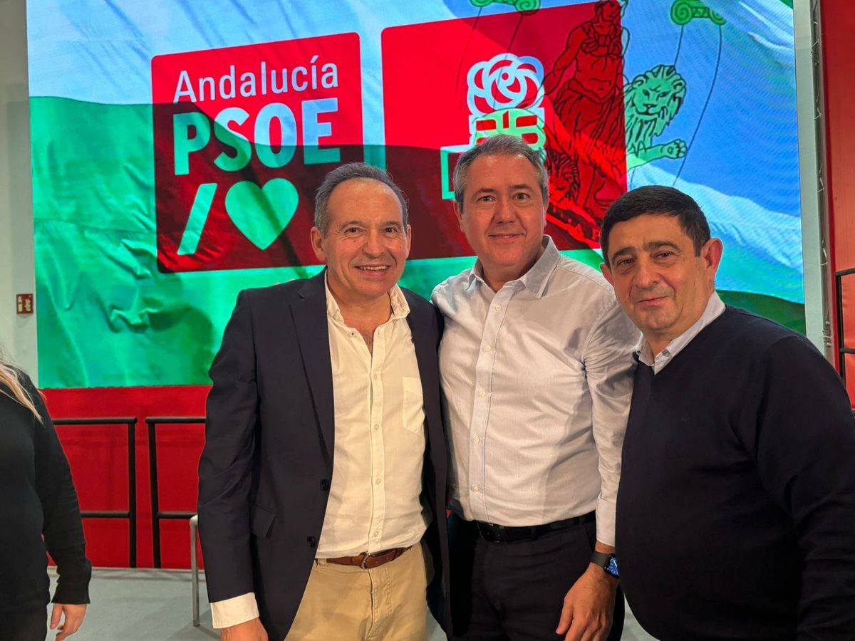 Foto: Jacinto Viedma, secretario de Organización del PSOE, junto con Juan Espadas y Francisco Reyes, líder del PSOE de Jaén. (Cedida / PSOE)