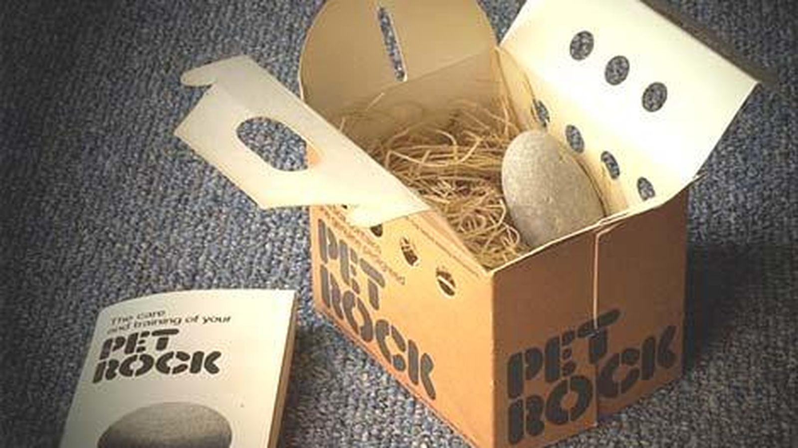 Foto: Las piedras-mascota se reciben en una caja con libro de instrucciones