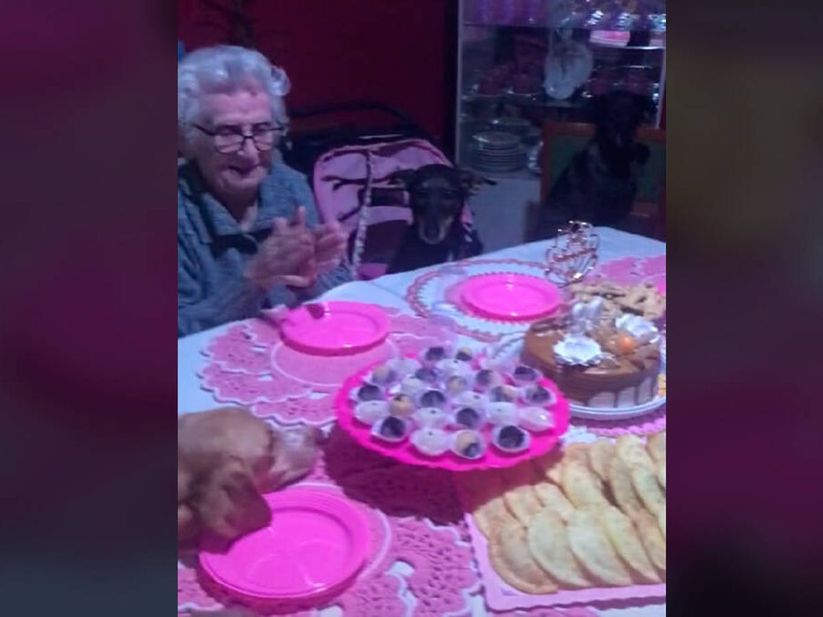 Foto: María celebró su 89 cumpleaños rodeada de sus mascotas (TikTok/@vitoria.abencoada)