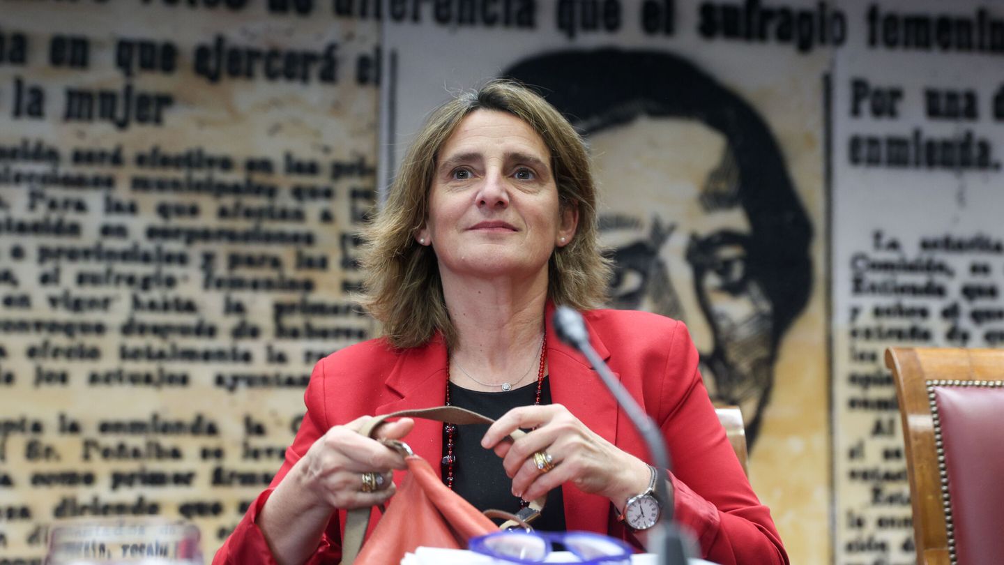 La vicepresidenta tercera y ministra para la Transición Ecológica, Teresa Ribera. (EP/R. Rubio)
