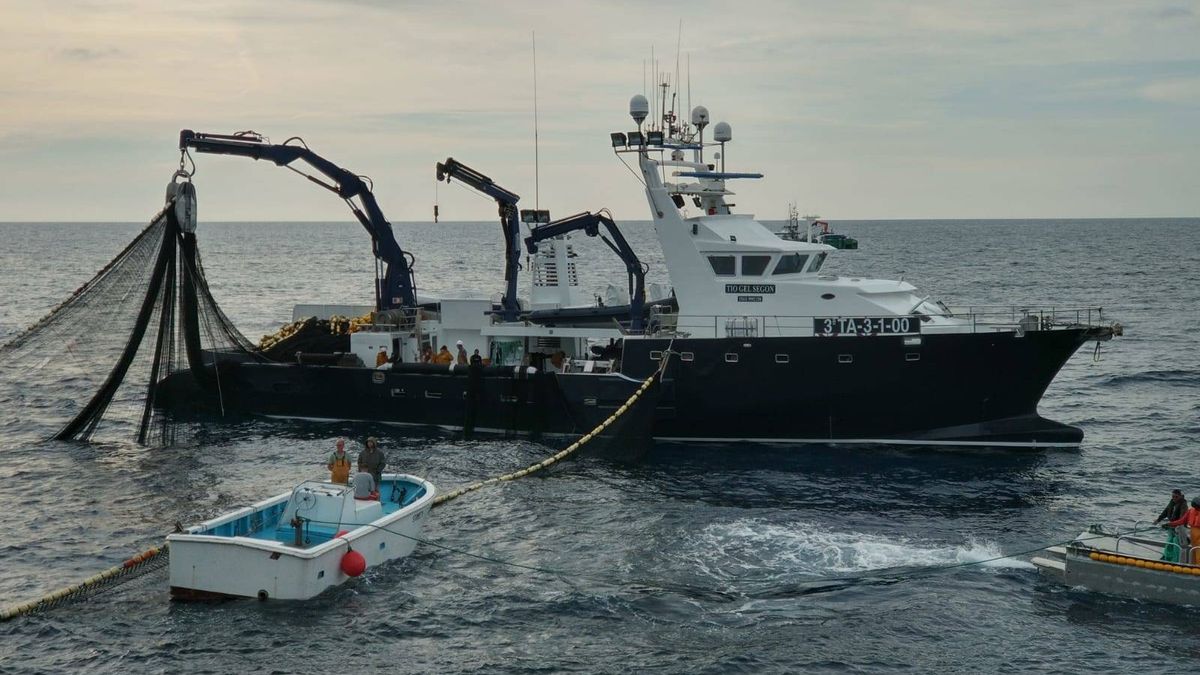 España acepta recortes en las capturas de merluza Sur y en la pesca del Mediterráneo 