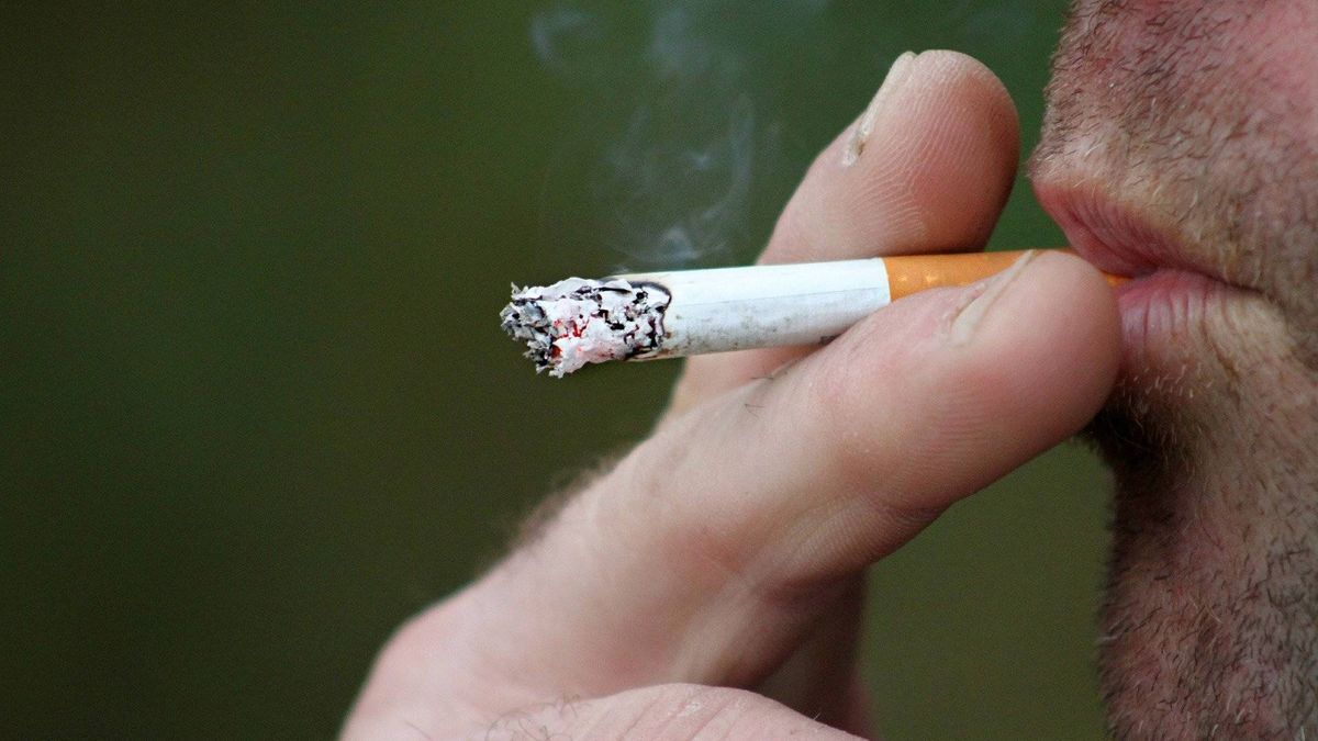 Siete detenidos en Andalucía por falsificar cigarrillos y 54.500 paquetes requisados