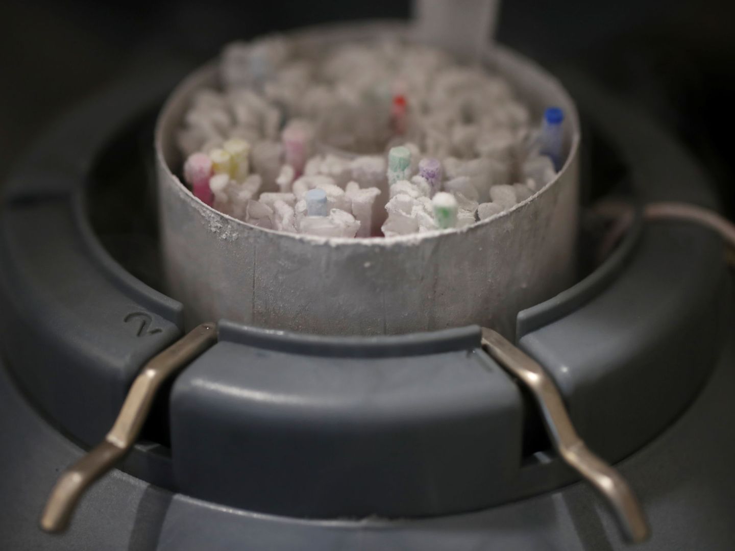 Viales de esperma congelados en un laboratorio de París (Reuters)