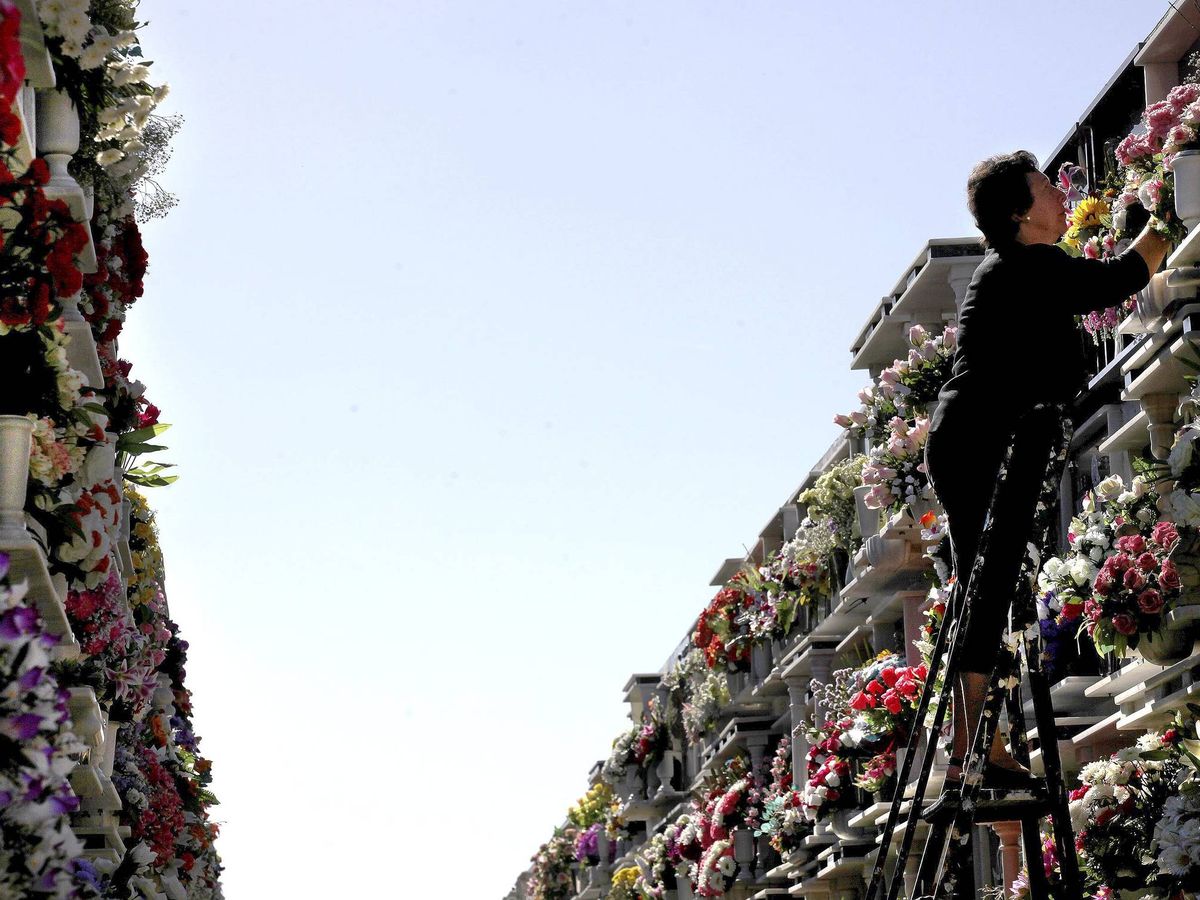 Foto: Una mujer limpia y coloca flores en el nicho de un familiar que descansa en el cementerio de Algeciras. (EFE/A. Carrasco Ragel)