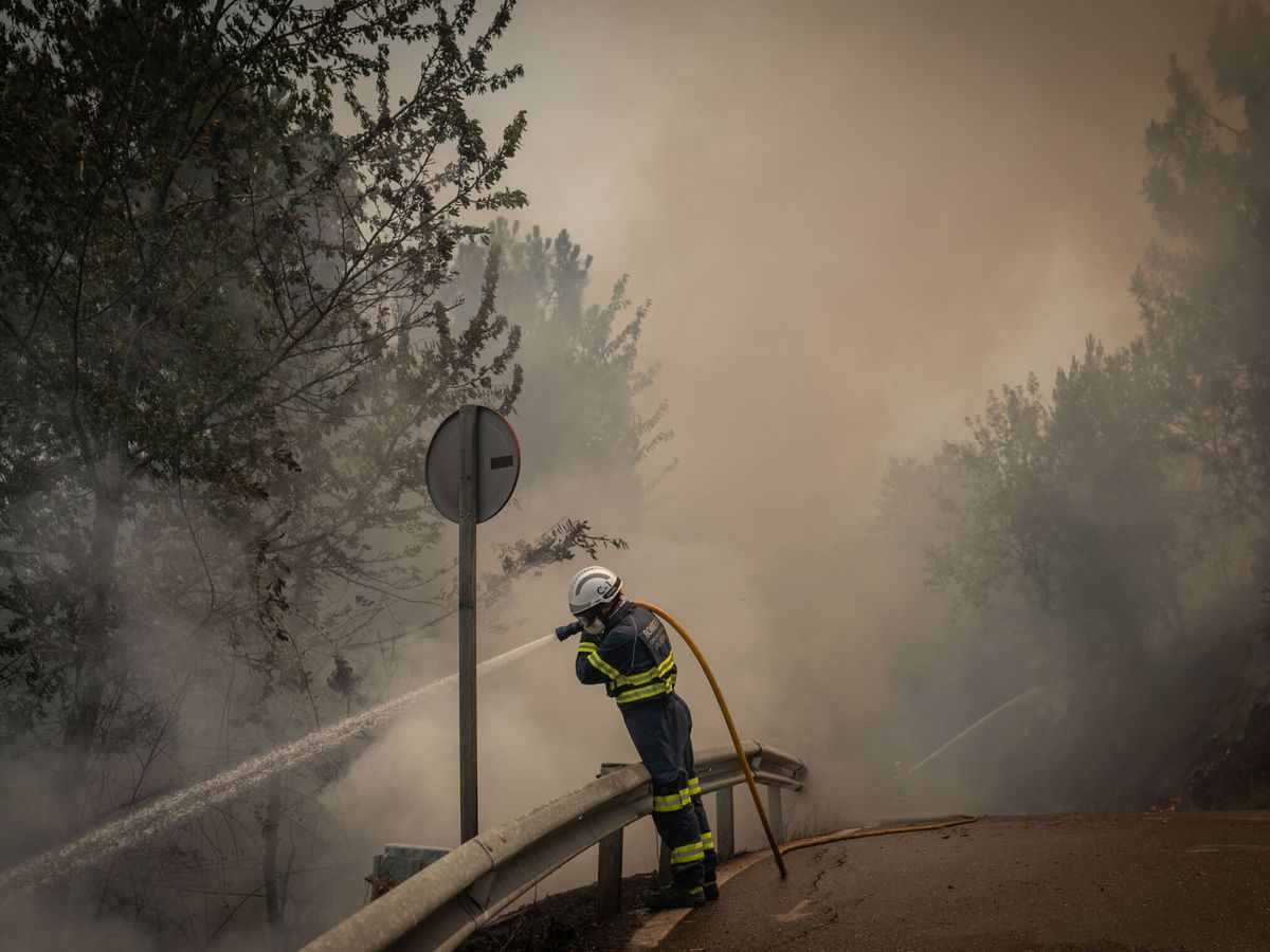 Foto: Un bombero forestal realiza labores de extinción en el incendio de O Barco de Valdeorras. (EFE/Brais Lorenzo)