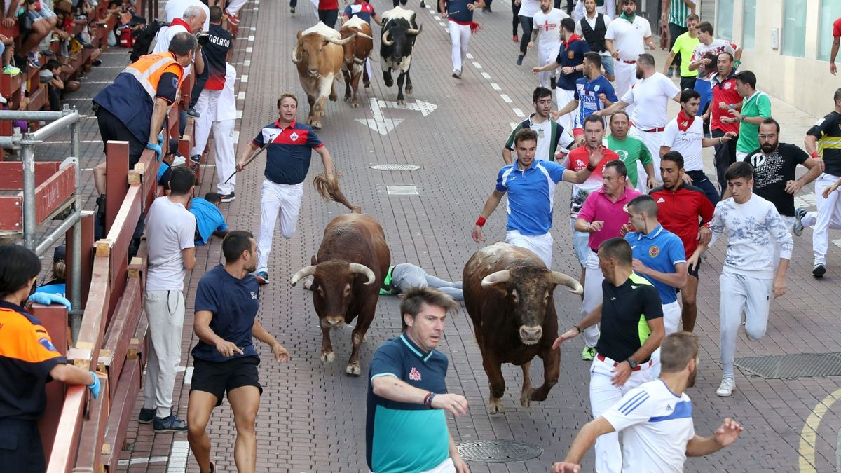 La crisis y la política apuntillan los toros en Madrid: los festejos bajan un 40% en 10 años
