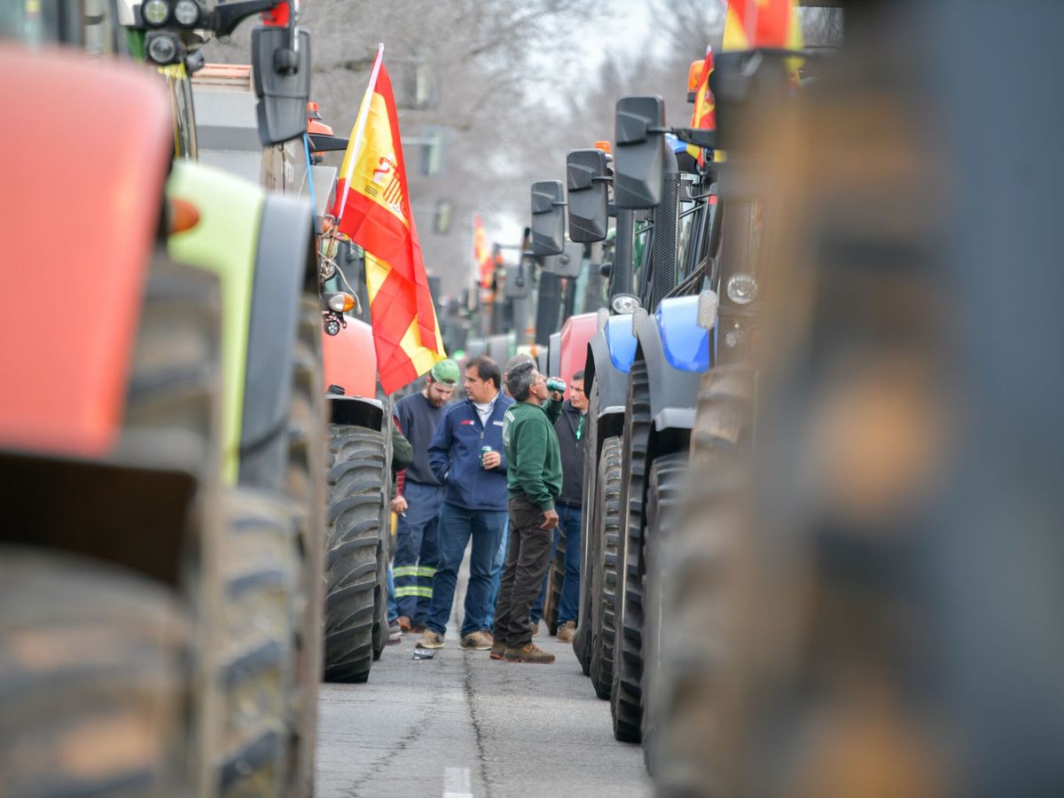 Foto: Así es la Plataforma 6F, la impulsora de las protestas de los agricultores (Europa Press/Eusebio García del Castillo)
