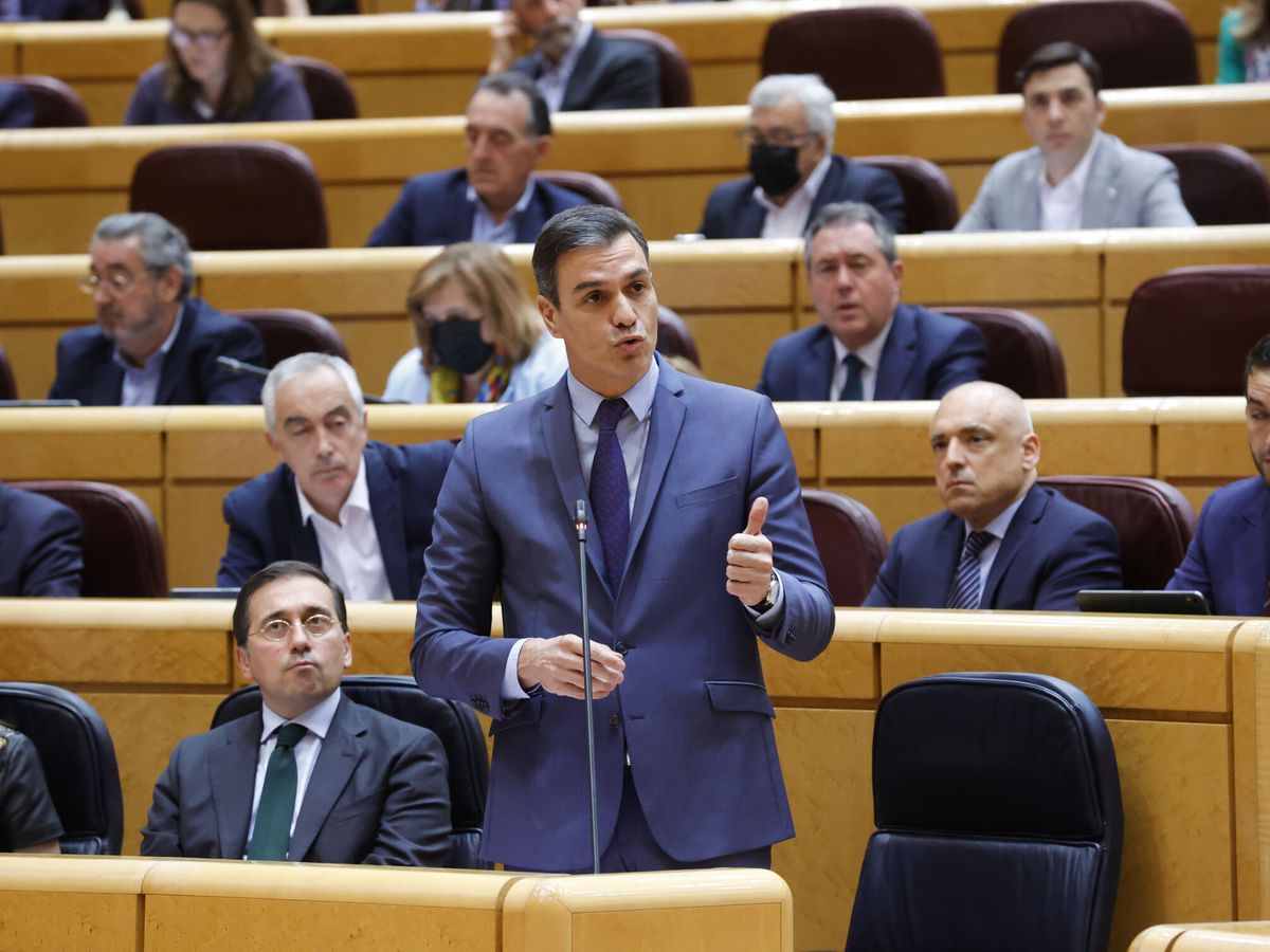 Foto: El presidente del Gobierno, Pedro Sánchez, durante su intervención en el Senado. (EFE/Zipi)