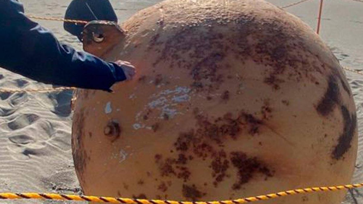 Descubren qué es la "misteriosa" bola gigante que apareció en una playa de Japón
