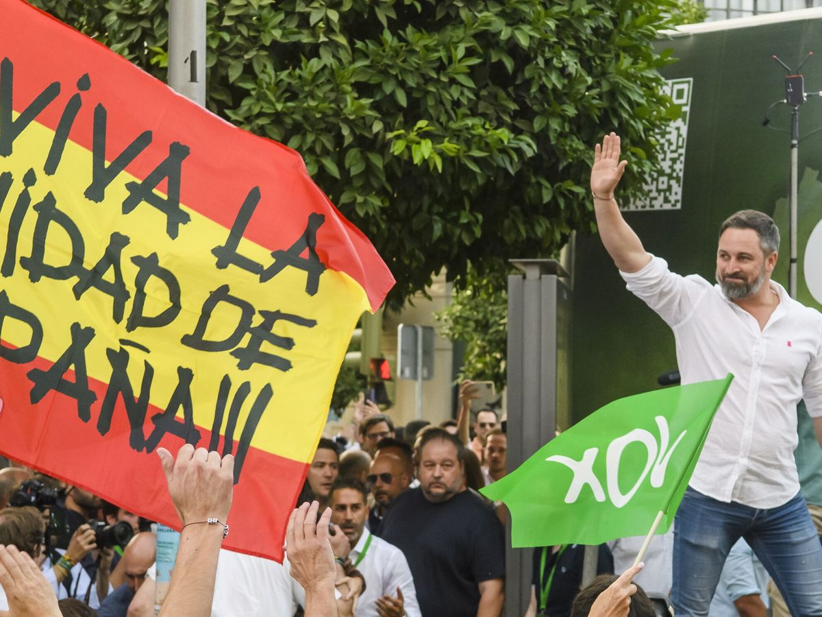 Foto: Abascal cerró la campaña de Vox en el acto celebrado en Sevilla. (EFE/Raúl Caro)