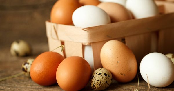 Foto: España es un país exportador neto de huevos.
