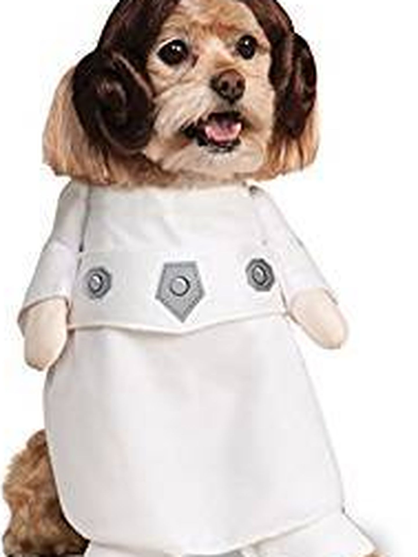 Un disfraz canino de Leia