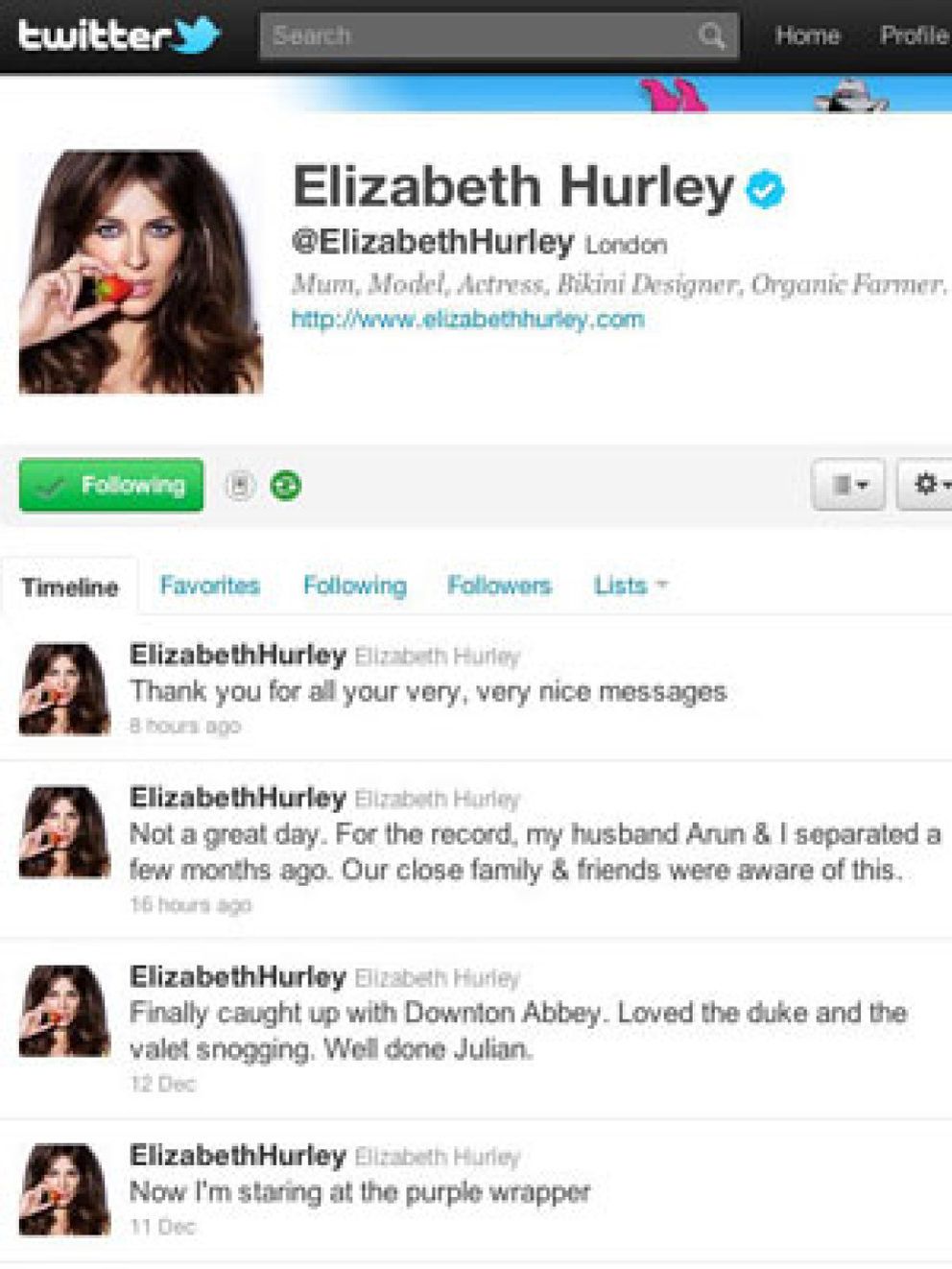 Foto: Elizabeth Hurley confirma su separación en 'Twitter'