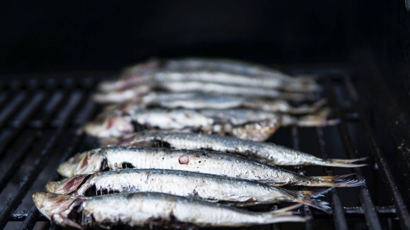 ¿Crees que comer sardinas es saludable? Te quedas corto