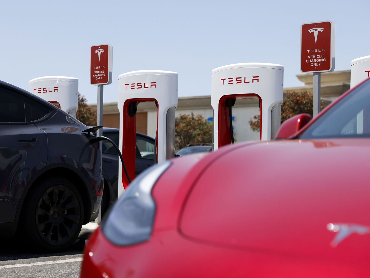 Desde mayo de 2022, cualquier usuario puede utilizar ciertos Supercharger de Tesla. (EFE)