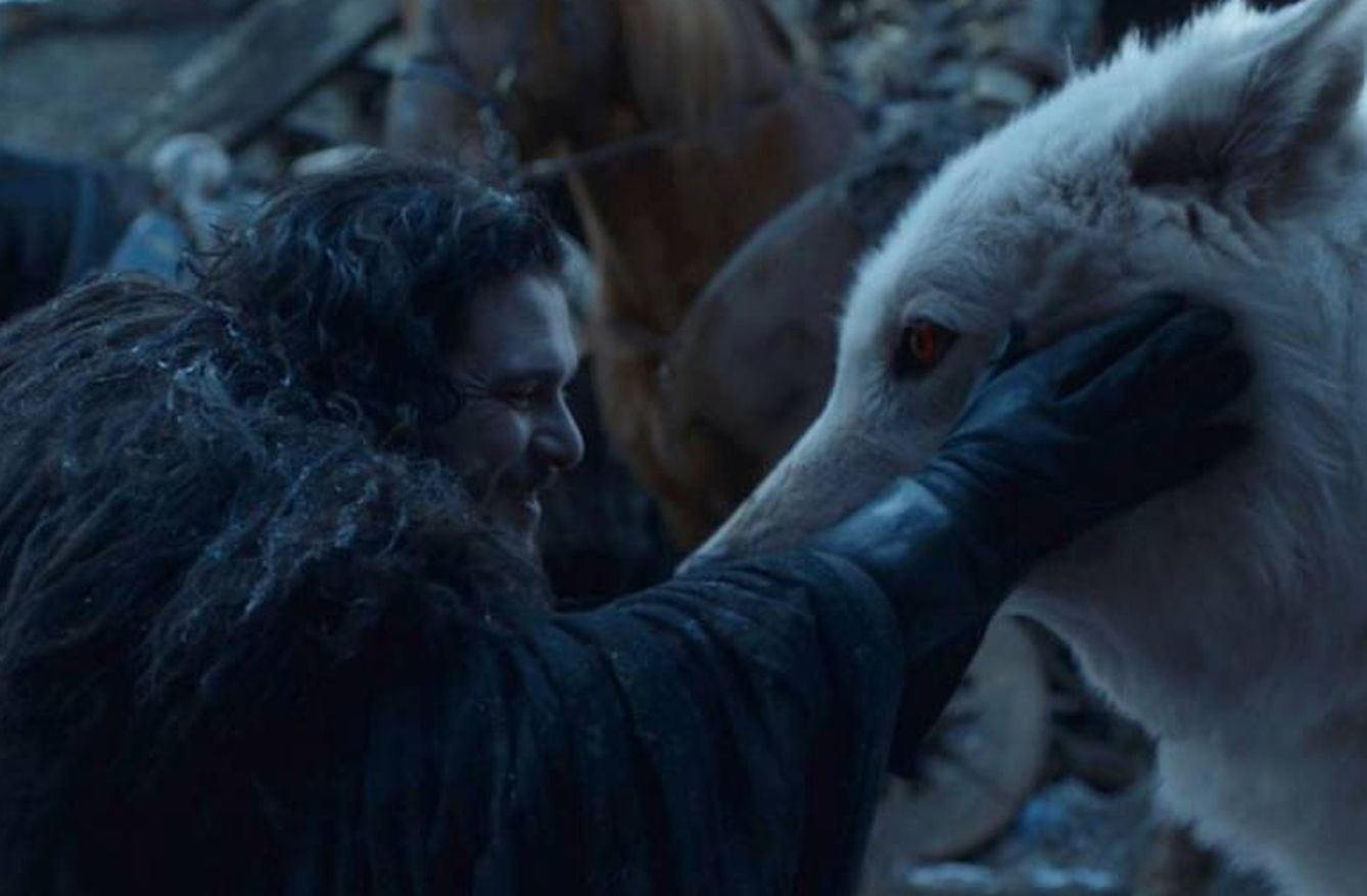 Jon Snow se reencuentra con Fantasma al final de 'Juego de Tronos'. (HBO)