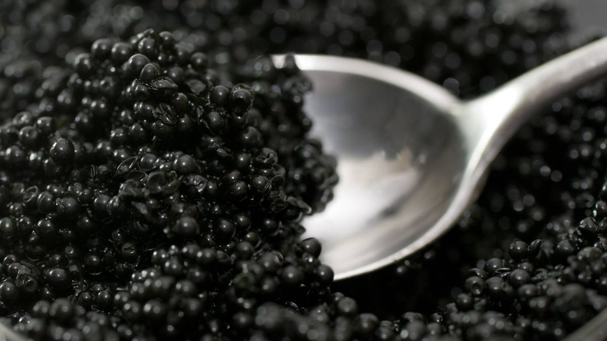 Cómo distinguir las variedades de caviar y cuál merece la pena