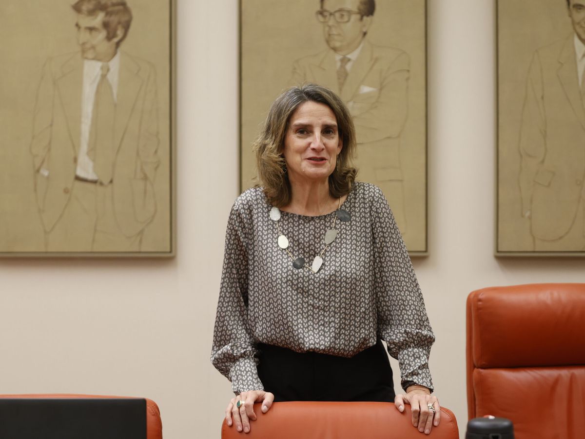 Foto: La vicepresidenta tercera del Gobierno y ministra para la Transición Ecológica y el Reto Demográfico, Teresa Ribera. (EFE/Mariscal)