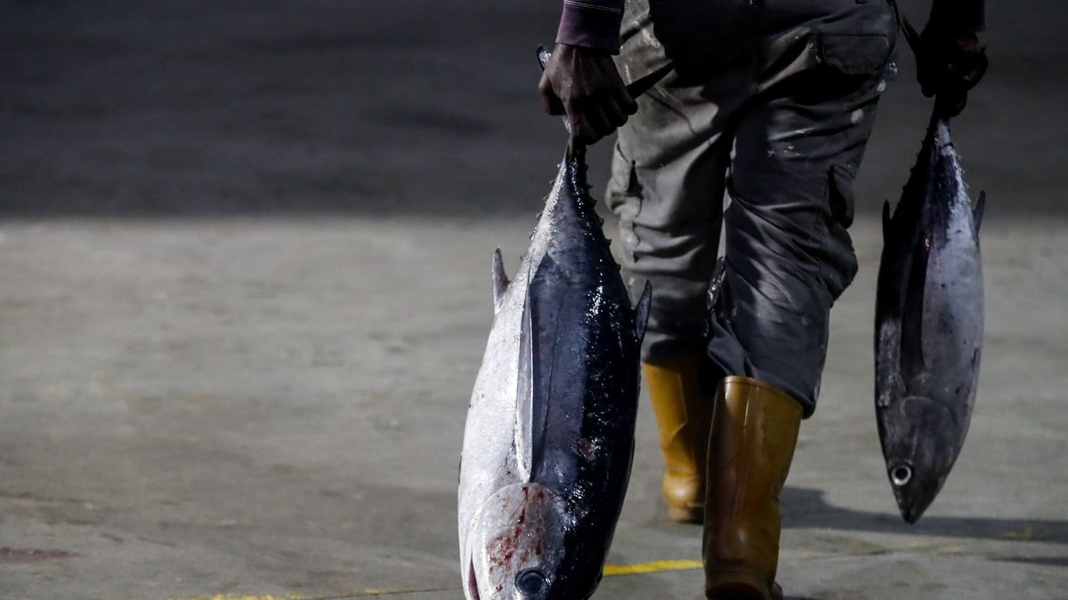 Los pescadores suspenden el paro indefinido previsto para el lunes por la falta de consenso