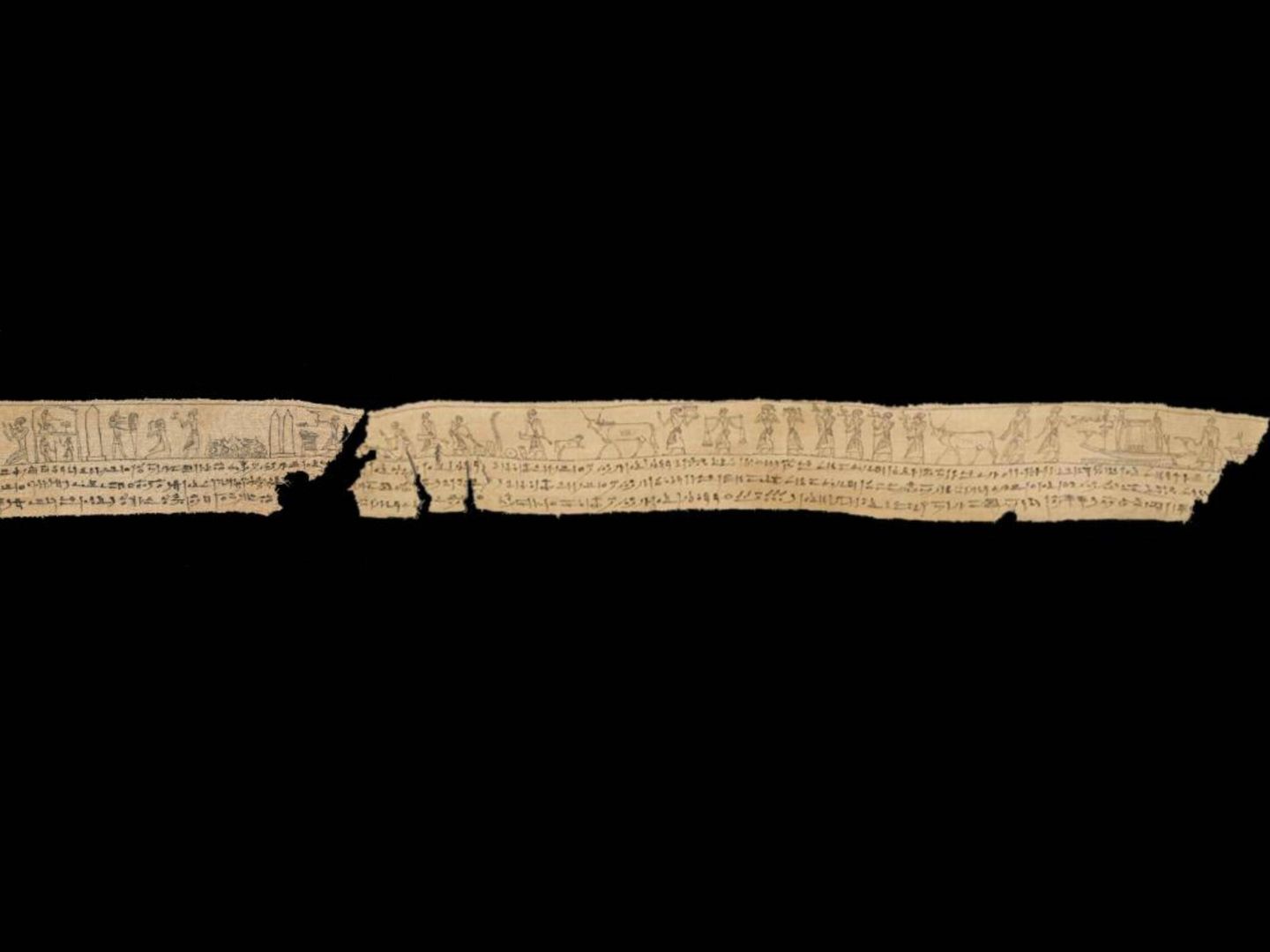 A la derecha de la imagen, el fragmento de la Colección Logie de la UC que se encuentra en el Museo de Antigüedades de Teece en Canterbury (Nueva Zelanda); a la izquierda, el fragmento contiguo del Instituto Getty en Los Ángeles (Estados Unidos). Fuente: University of Canterbury