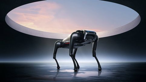 Xiaomi presenta 'CyberDog', su primer perro robot que responde a las órdenes de voz
