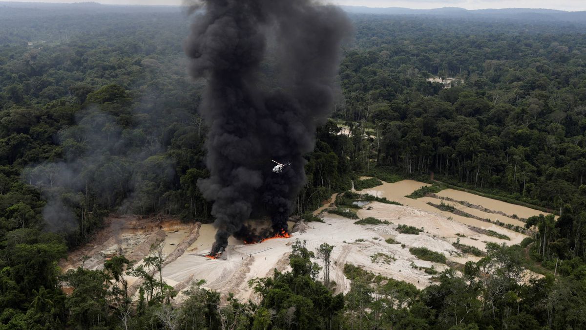 El monstruo del agronegocio despierta: la Amazonia, antes y después de Bolsonaro