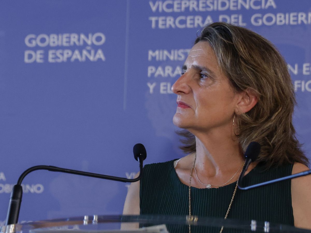 Foto: La vicepresidenta tercera, Teresa Ribera. (EFE/Chema Moya)
