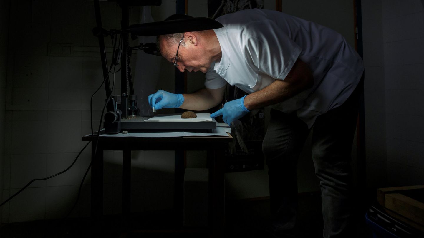 Fernando Serrulla analiza restos óseos en su laboratorio. (Reuters)