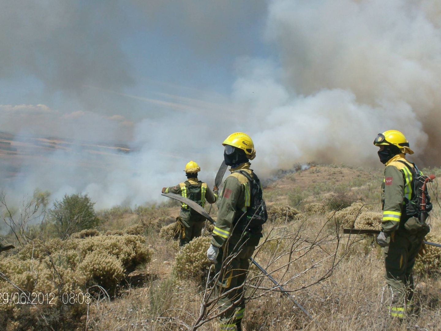 Bomberos forestales de Madrid trabajando en un incendio con su EPI.