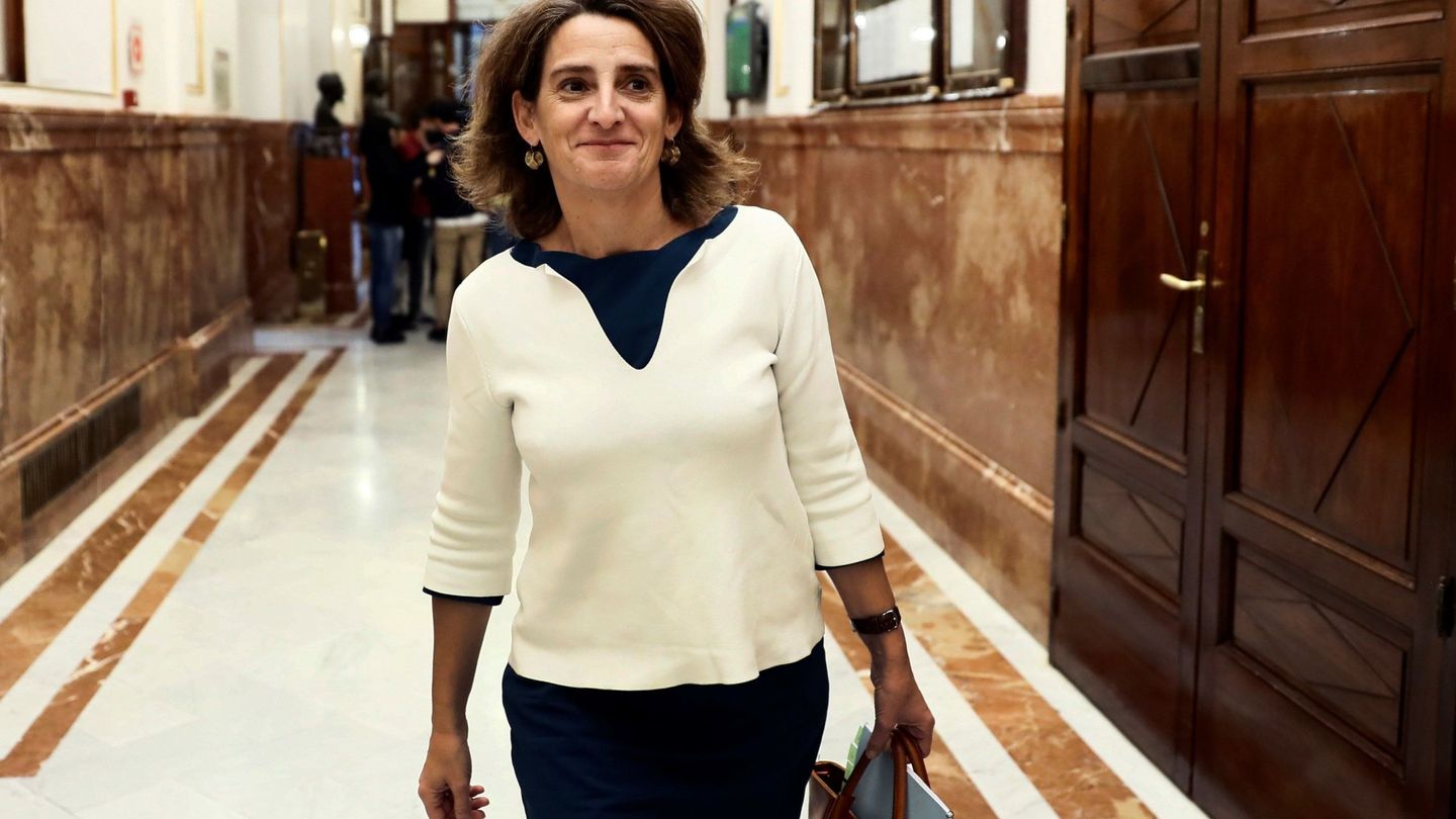 La ministra de Transición Ecológica, Teresa Ribera, en el Congreso. (EFE)