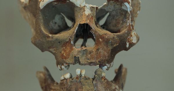 Foto: Un cráneo maya que fue utilizado como trofeo bélico por guerreros enemigos. (EFE)