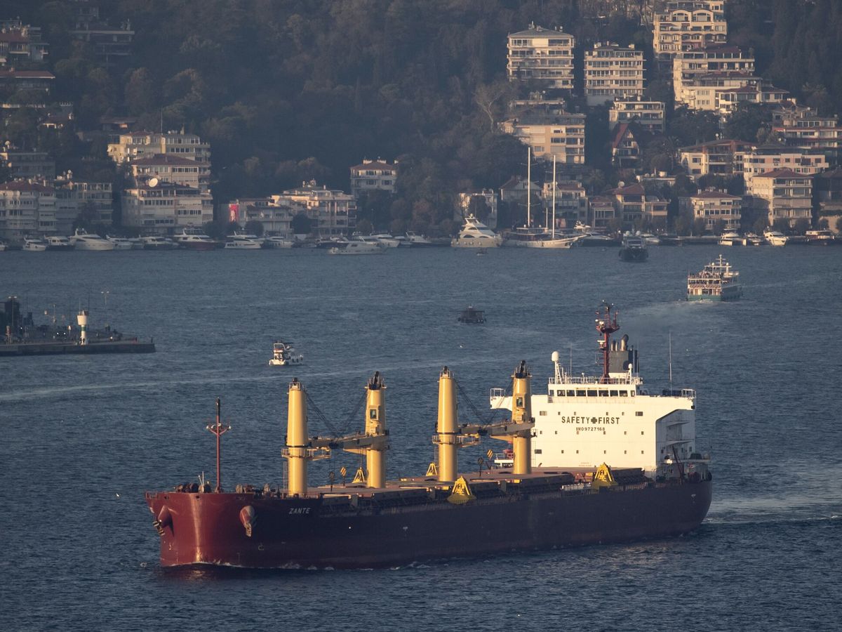 Foto: Un carguero con grano ucraniano, en el estrecho del Bósforo. (EFE/Erdem Sahin)