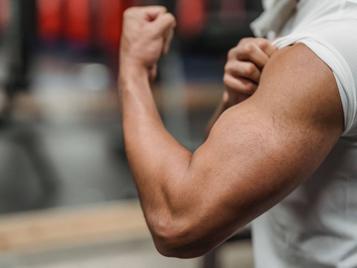 Estudo indica que o tadalafilo pode estimular a regeneração de tecidos musculares