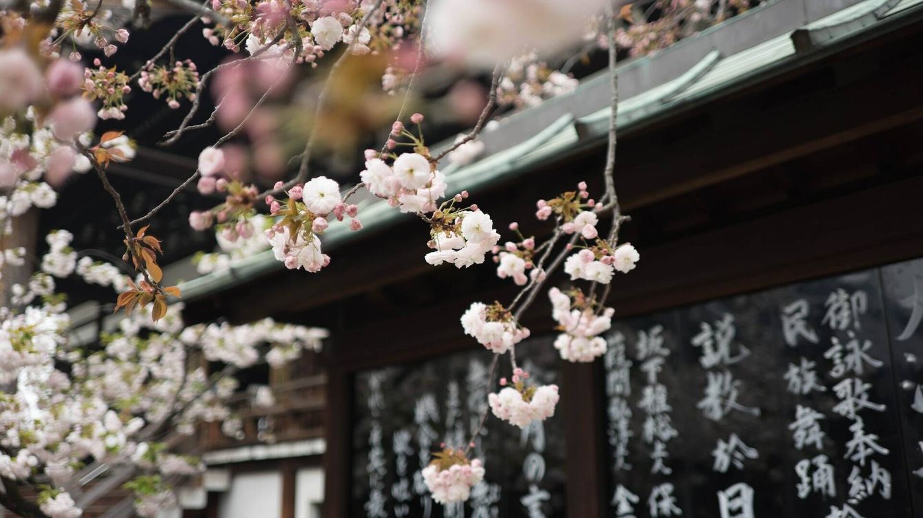 'Nankurunaisa': la palabra japonesa que cambiará tu forma de ver la vida