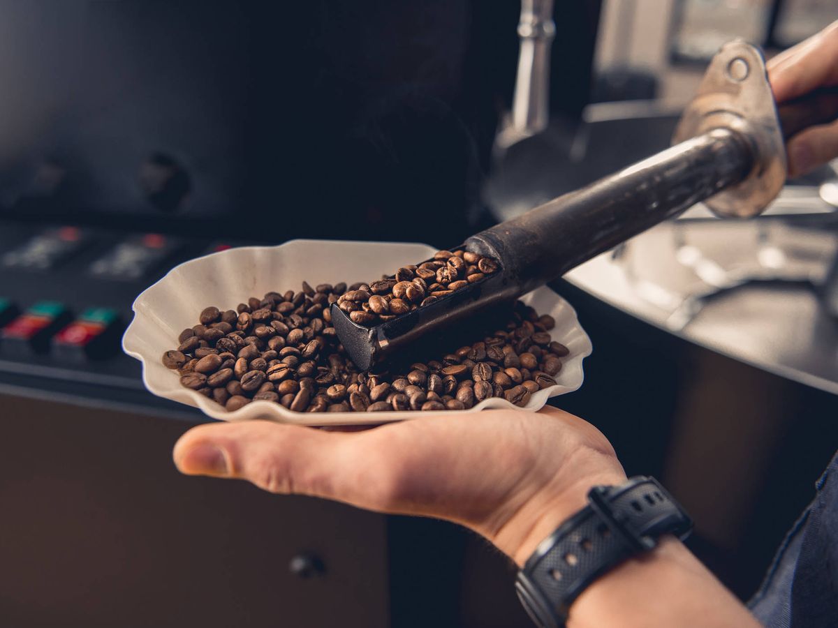 Foto: Control de los granos de café tostados. (iStock)
