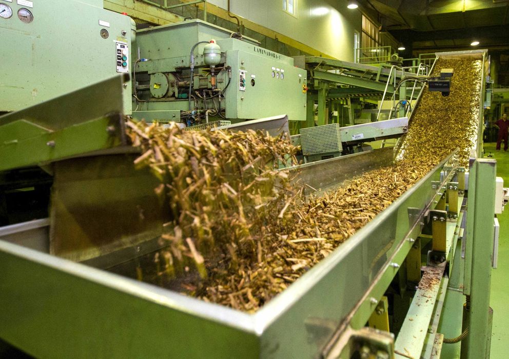 Foto: Proceso de fabricación de tabaco en la empresa Altadis en La Rioja, que exporta un 35% de su producción (Efe)