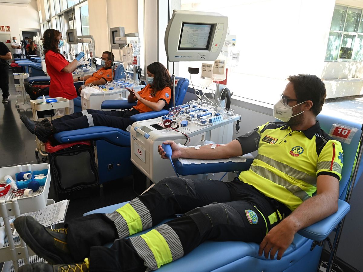 Foto: Donación de sangre en Madrid.