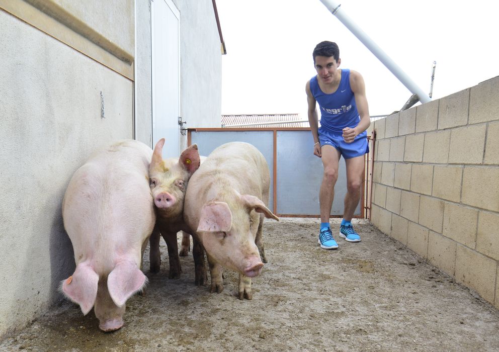 Foto: Dani Mateo combina a la perfección su faceta de atleta con la de granjero (Foto: Álvaro Martínez/Diario de Soria).