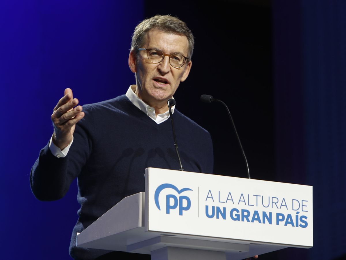 Foto:  El líder del Partido Popular, Alberto Núñez Feijoó. (EFE/Javier Belver)