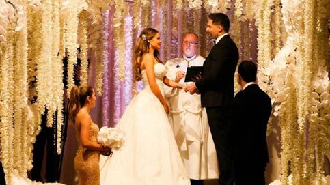 Pitbull, invitado de lujo en la boda de Sofía Vergara y Joe Manganiello