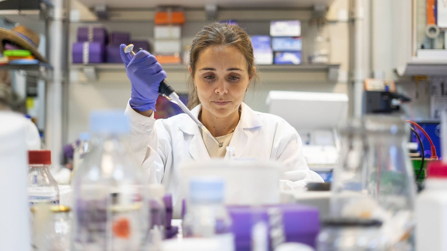 Una investigadora trabajando en el laboratorio de Ana Martínez. (A. B.)